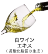白ワインエキス（過酸化脂質の生成）